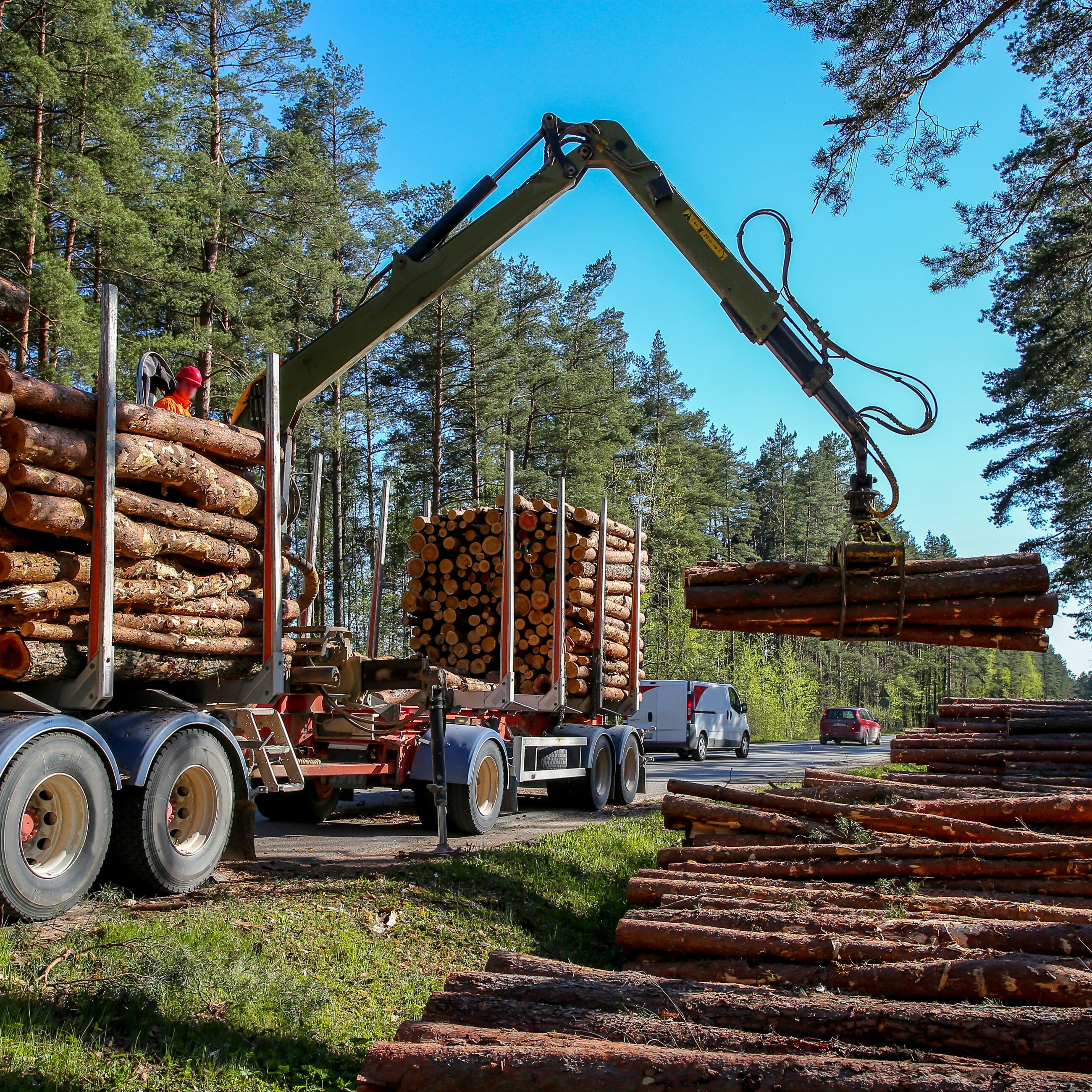 Ante Holz - Gewissenhafte Planung Beim Rundholzeinkauf